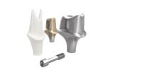 Abutment